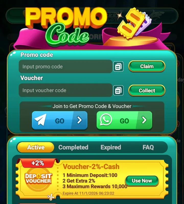 Promo Code